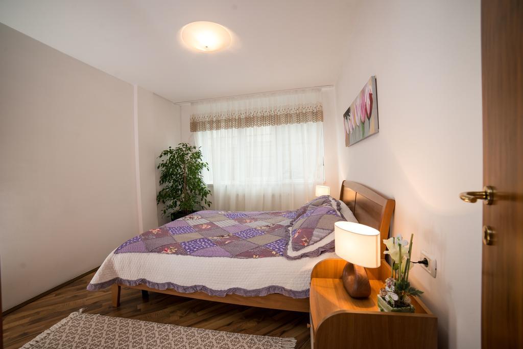 Rox Central Apartments 티미쇼아라 외부 사진